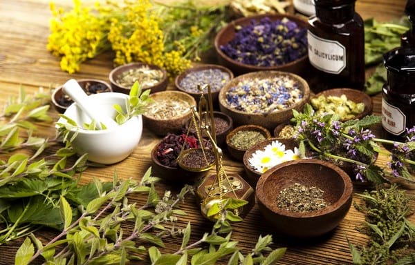 Безвредные и эффективные мочегонные растения, продукты-диуретики, таблетки на травах