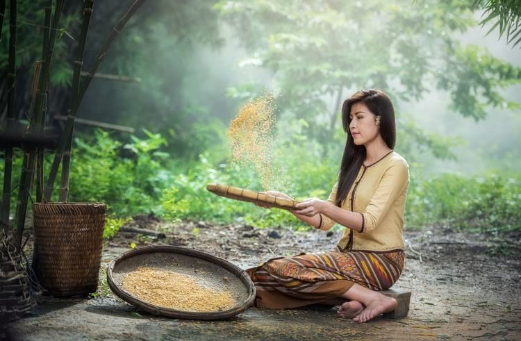 Чем полезна рисовая вода: секреты азиатских красавиц